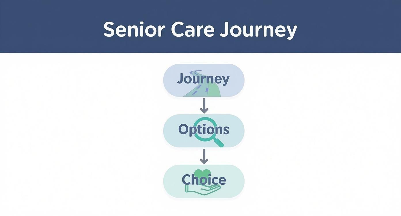 Flowchart outlining the senior care journey, from initial journey to exploring options and making a choice.