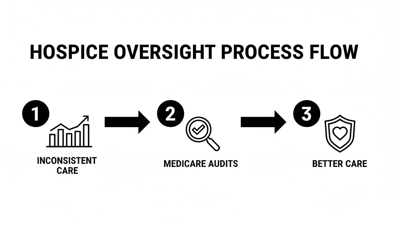 A hospice oversight process flow diagram illustrating steps from inconsistent care to better care through Medicare audits.