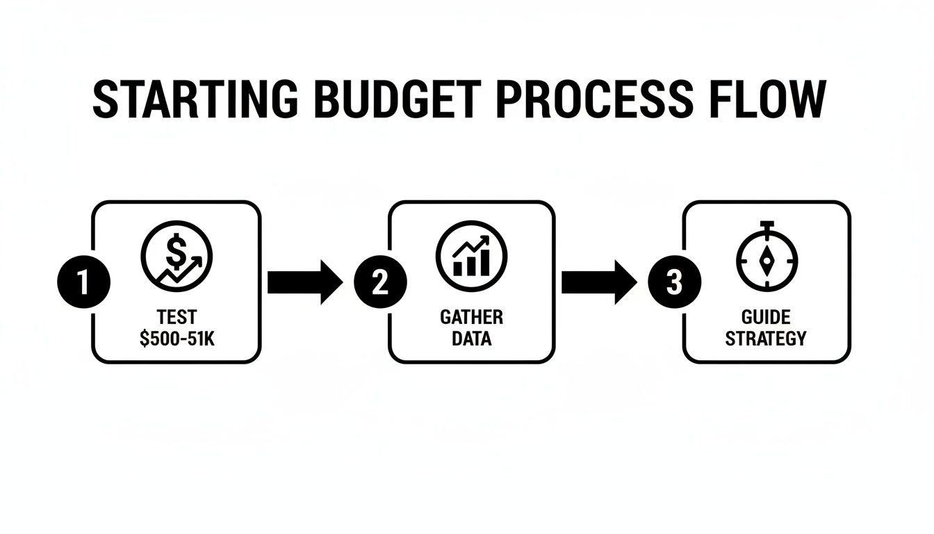 A visual process flow outlining three steps for starting a budget: test, gather data, and guide strategy.