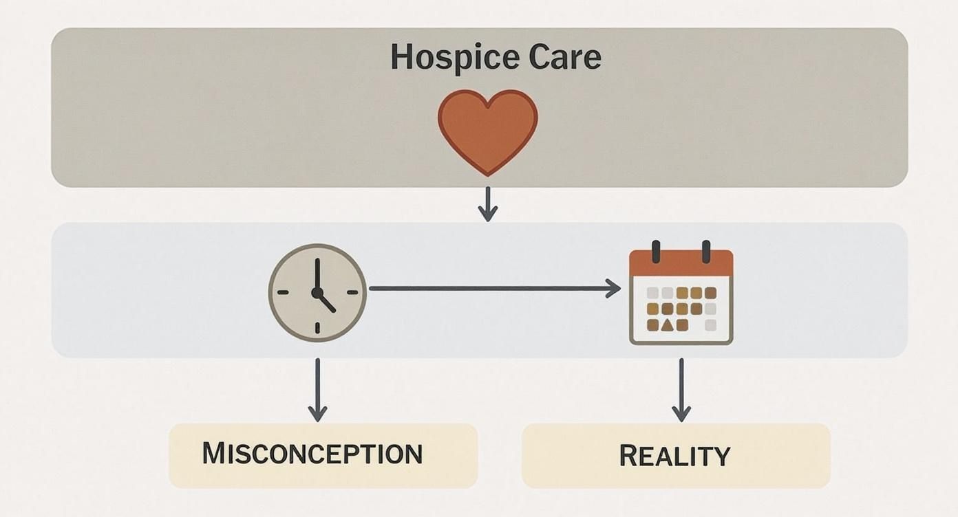 Infographic about not just for the final days: the real benefits of starting hospice early