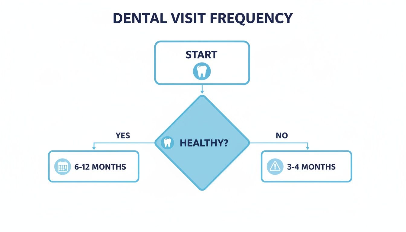 A flowchart illustrating dental visit frequency recommendations: if healthy, visit every 6-12 months; if not healthy, every 3-4 months.