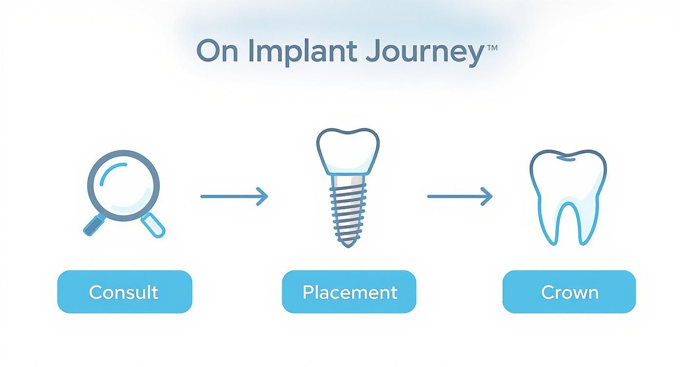 Infographic showing the dental implant process flow from consultation, to placement, to the final crown.