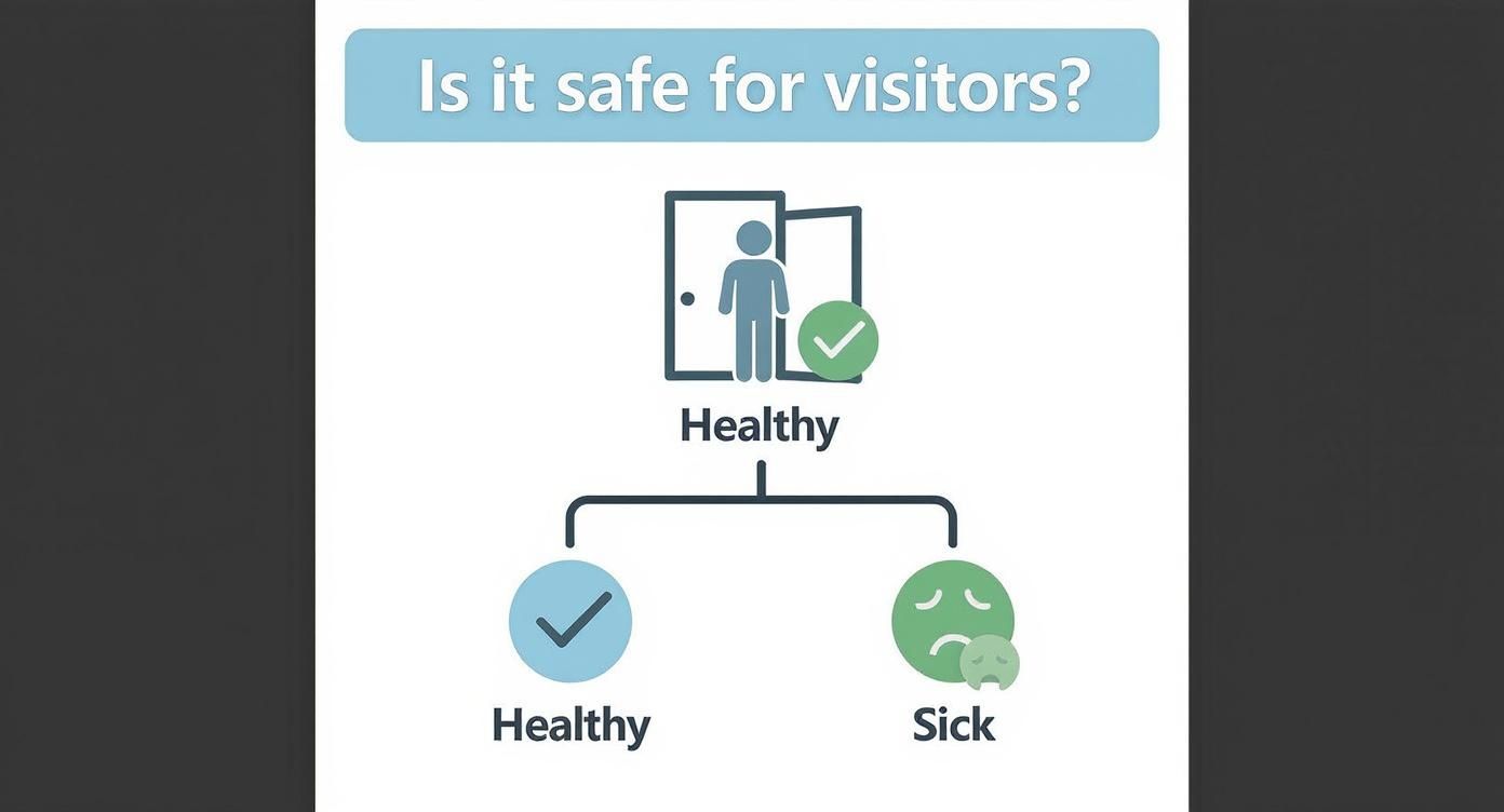 Infographic decision tree asking if it is safe for visitors to enter a home based on whether they are healthy or sick.
