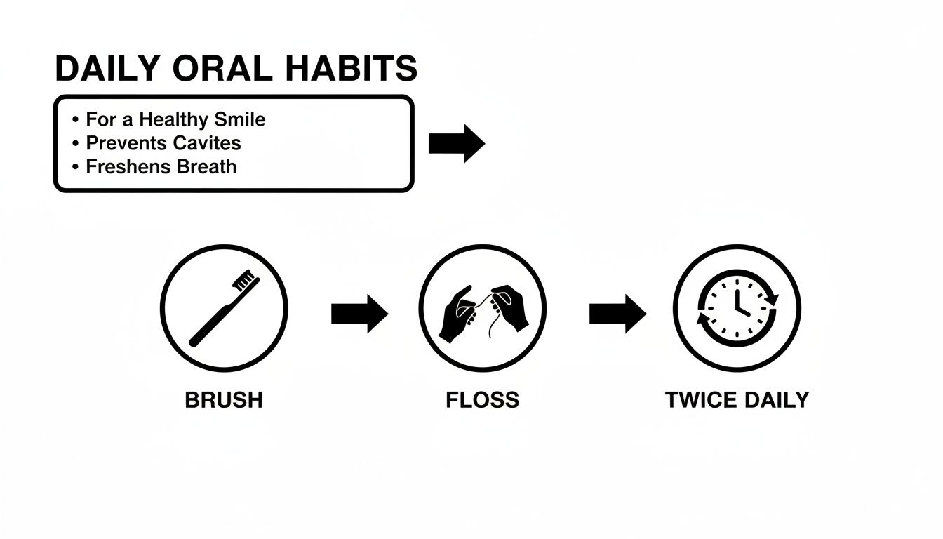 Infographic showing daily oral habits: brush, floss twice daily for a healthy smile, preventing cavities.