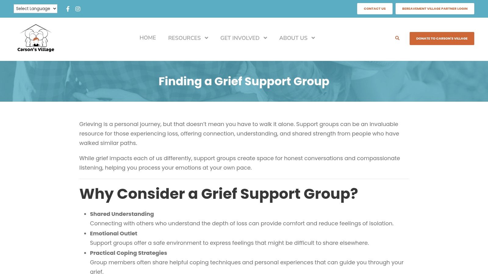 A screenshot of the Carson's Village website showing an interactive map of the United States, allowing users to click on their state to find local grief support resources.