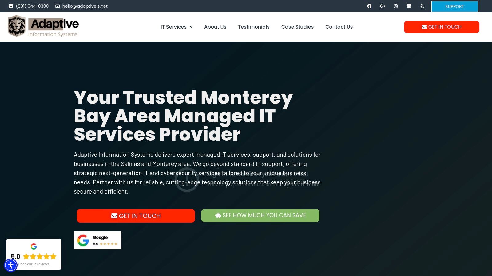 Adaptive Information Systems website screenshot showing their main services and company branding.