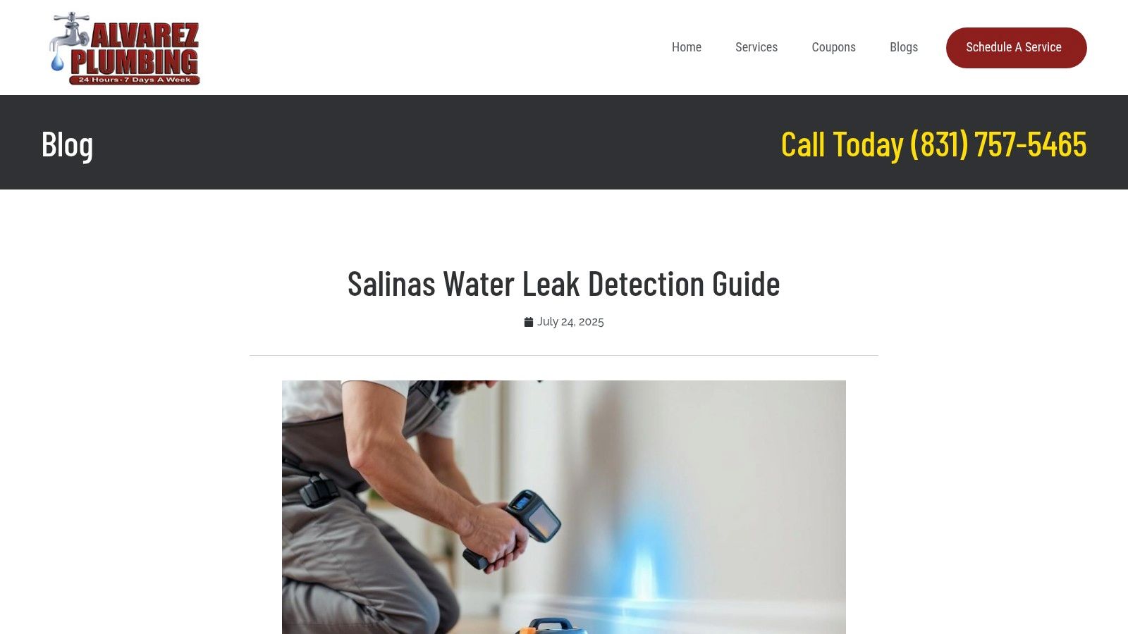 Water leak detection service guide