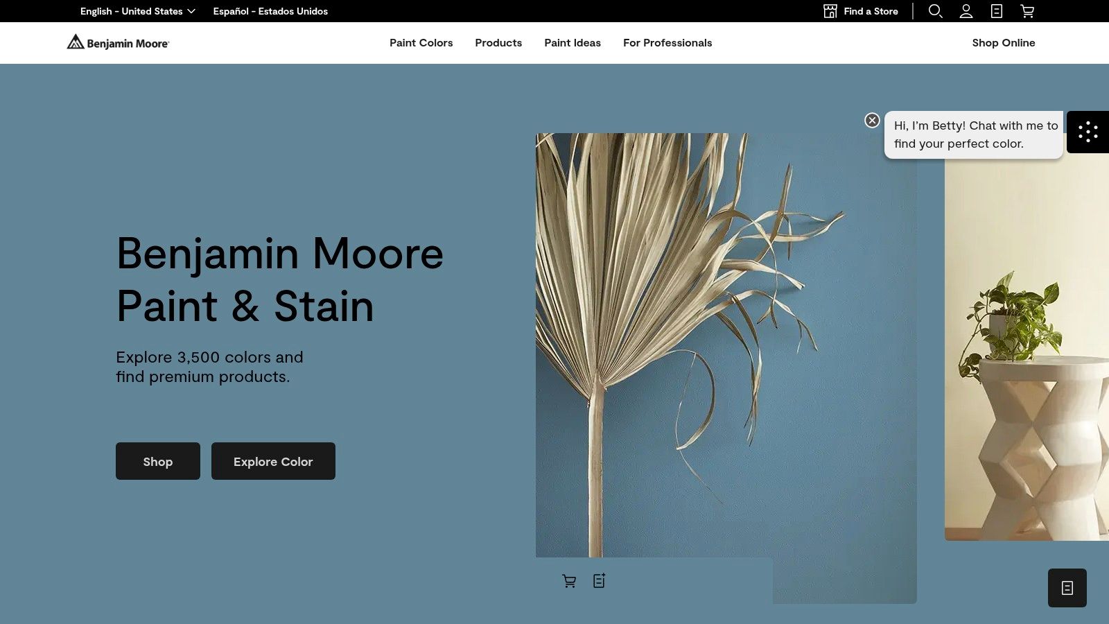 Benjamin Moore