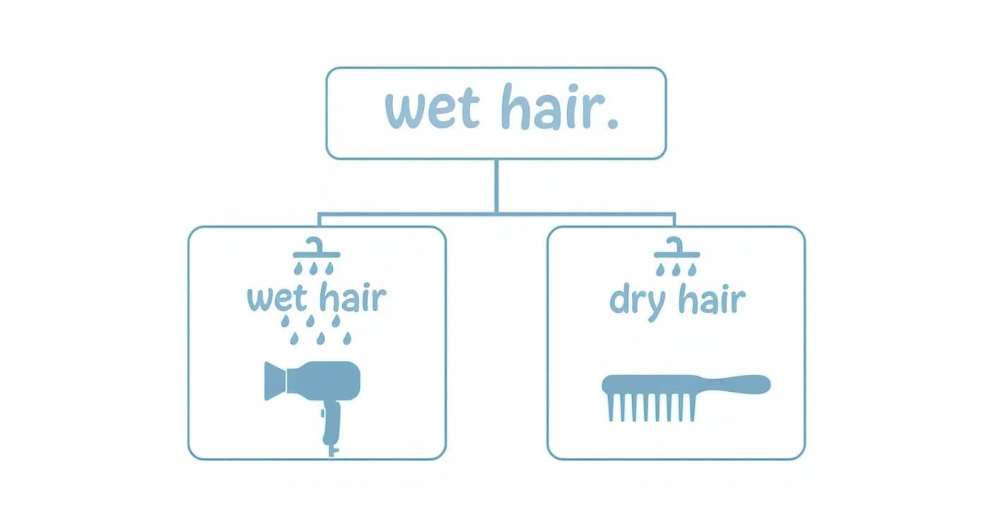 Infographic about mas volumen pelo