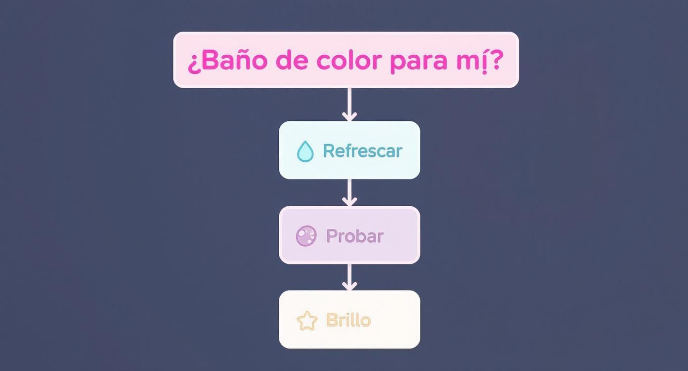 Diagrama de flujo preguntando &#39;¿Baño de color para mí?&#39;, con opciones como refrescar, probar y brillo.