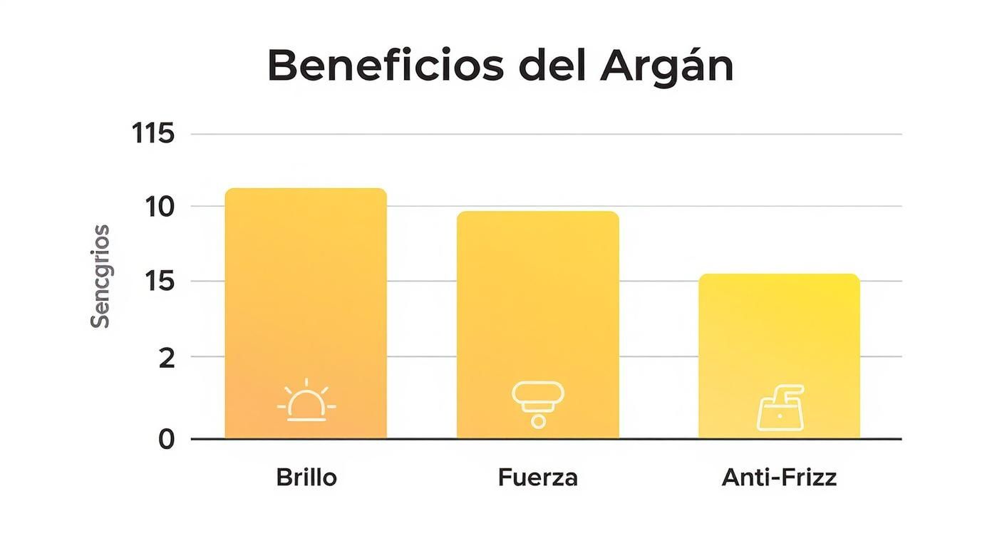 Infografía sobre los beneficios del aceite de argán, mostrando barras para Brillo, Fuerza y Anti-Frizz