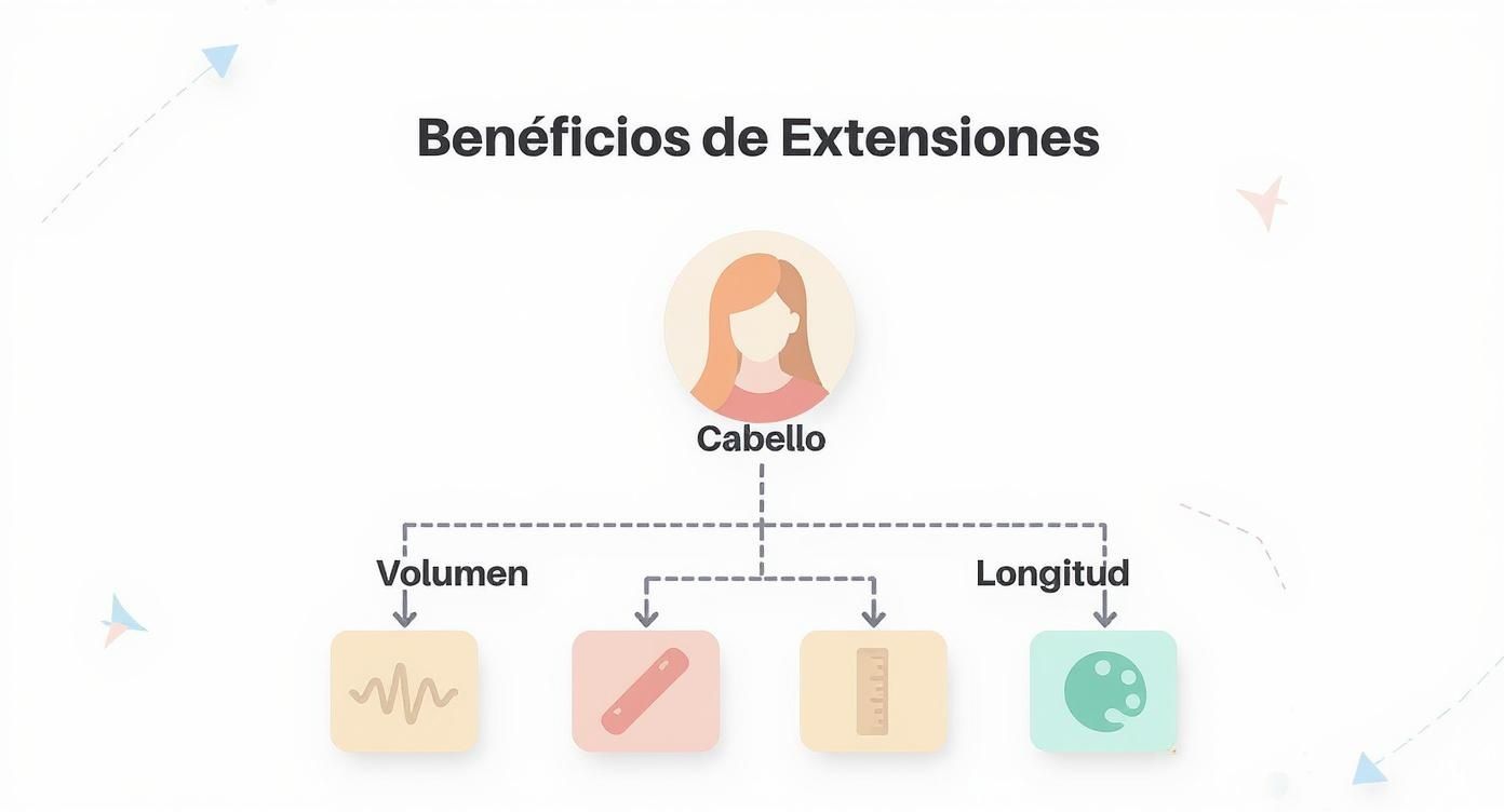 Diagrama ilustrativo mostrando los beneficios de las extensiones de cabello: volumen y longitud con iconos representativos