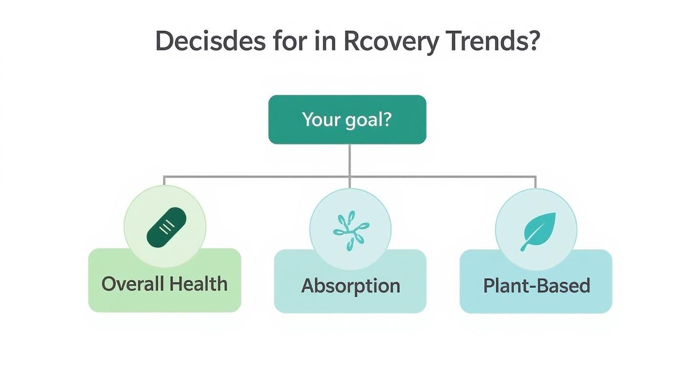Infographic about best supplements for muscle recovery