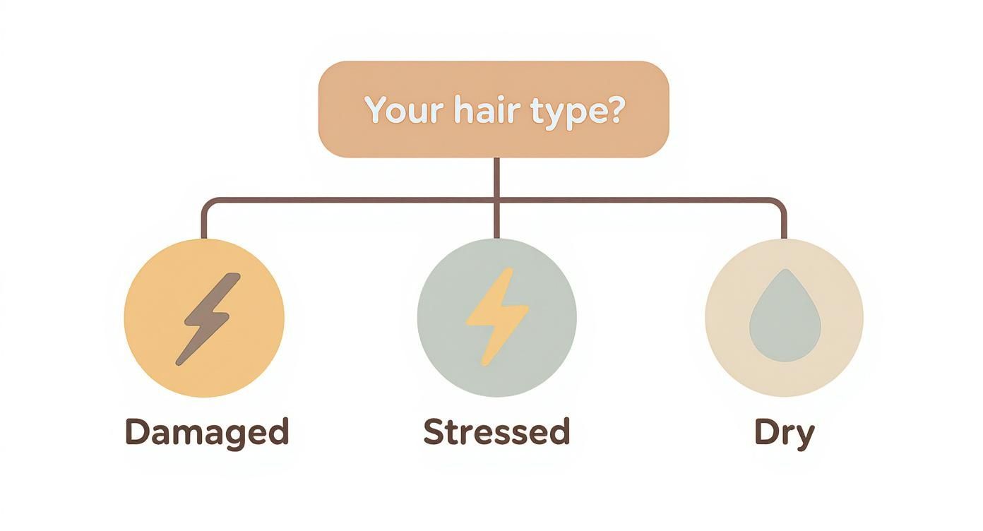 Flowchart illustrating hair types: Damaged with a lightning bolt, Stressed with a lightning bolt, and Dry with a water drop.