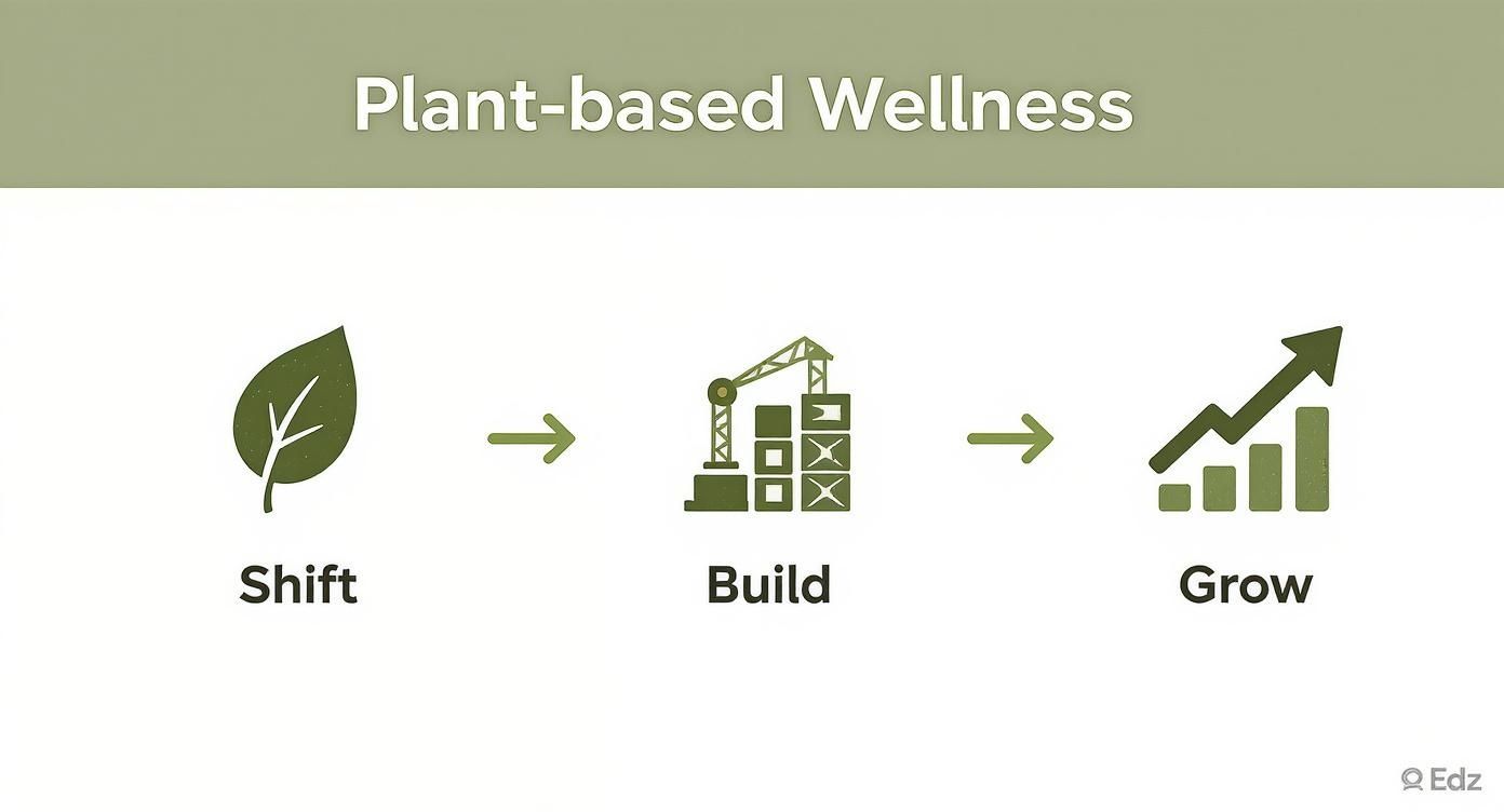 Infographic about plant based collagen supplements