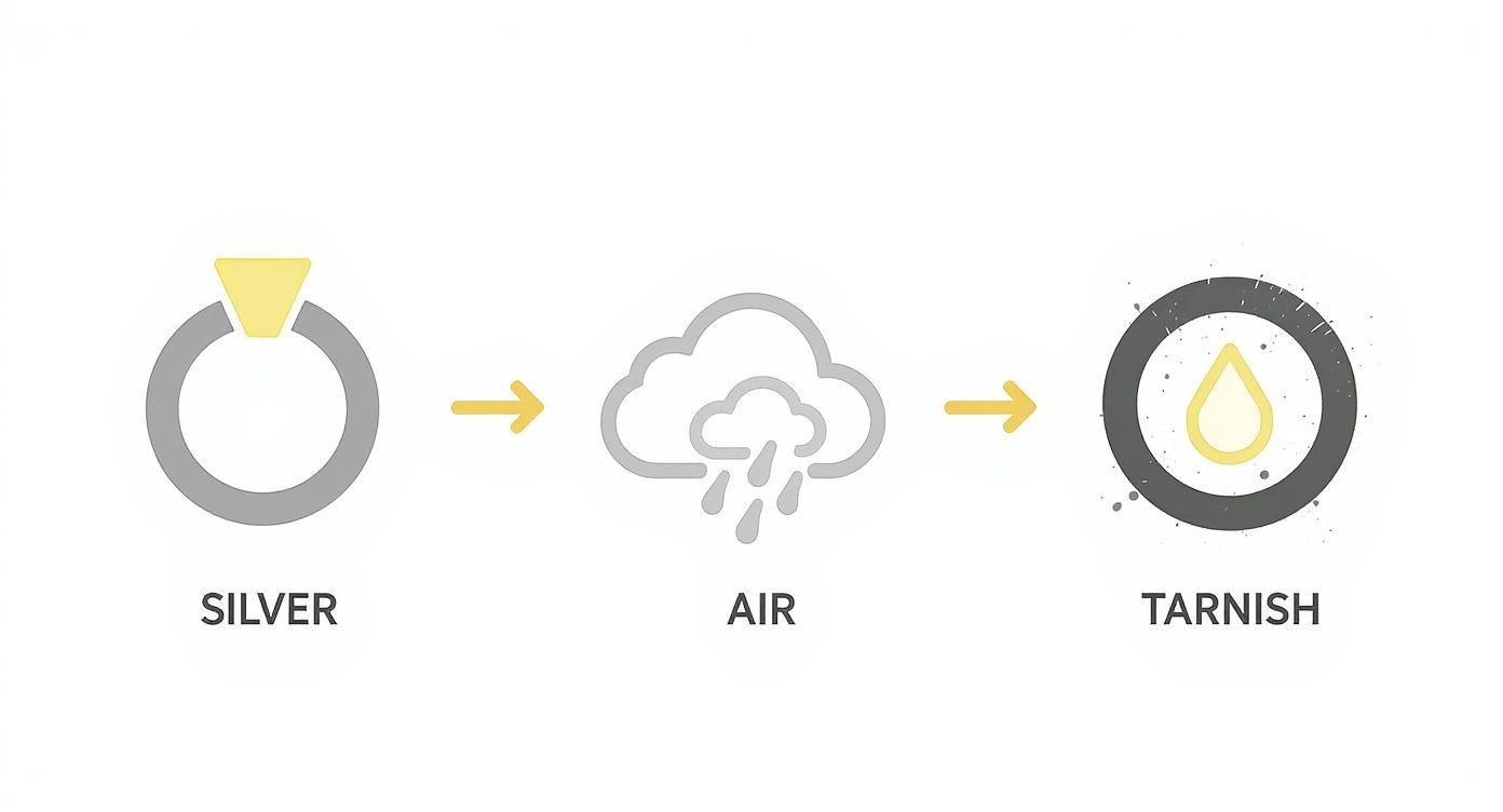Infographic about tarnish from silver