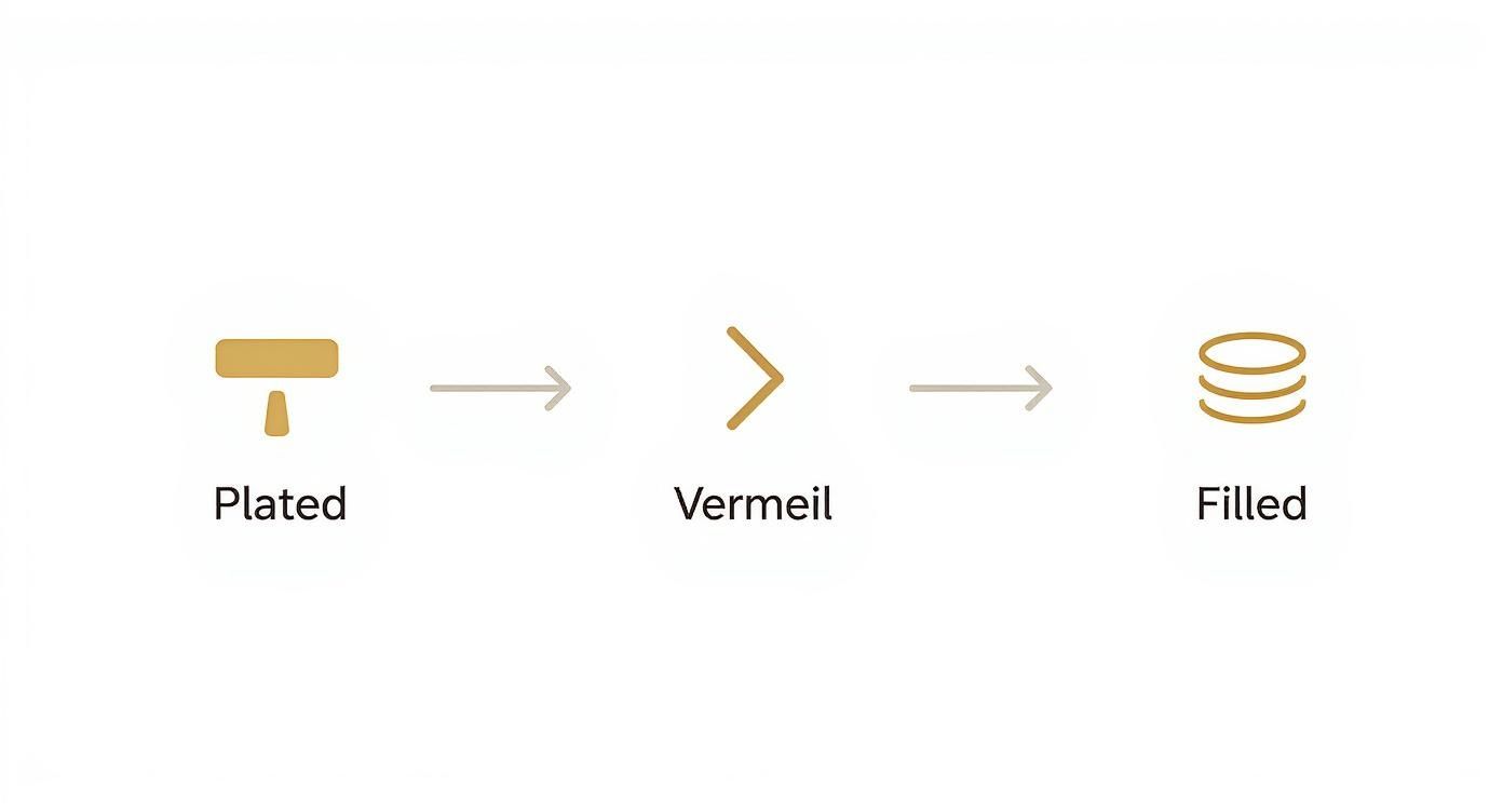 Infographic about best affordable jewelry brands