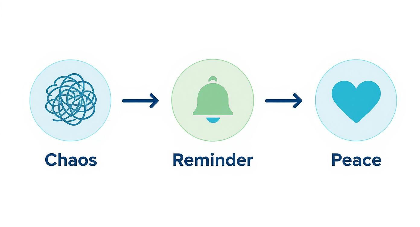 Visual diagram showing progression from chaos through bell reminder to peaceful heart symbol