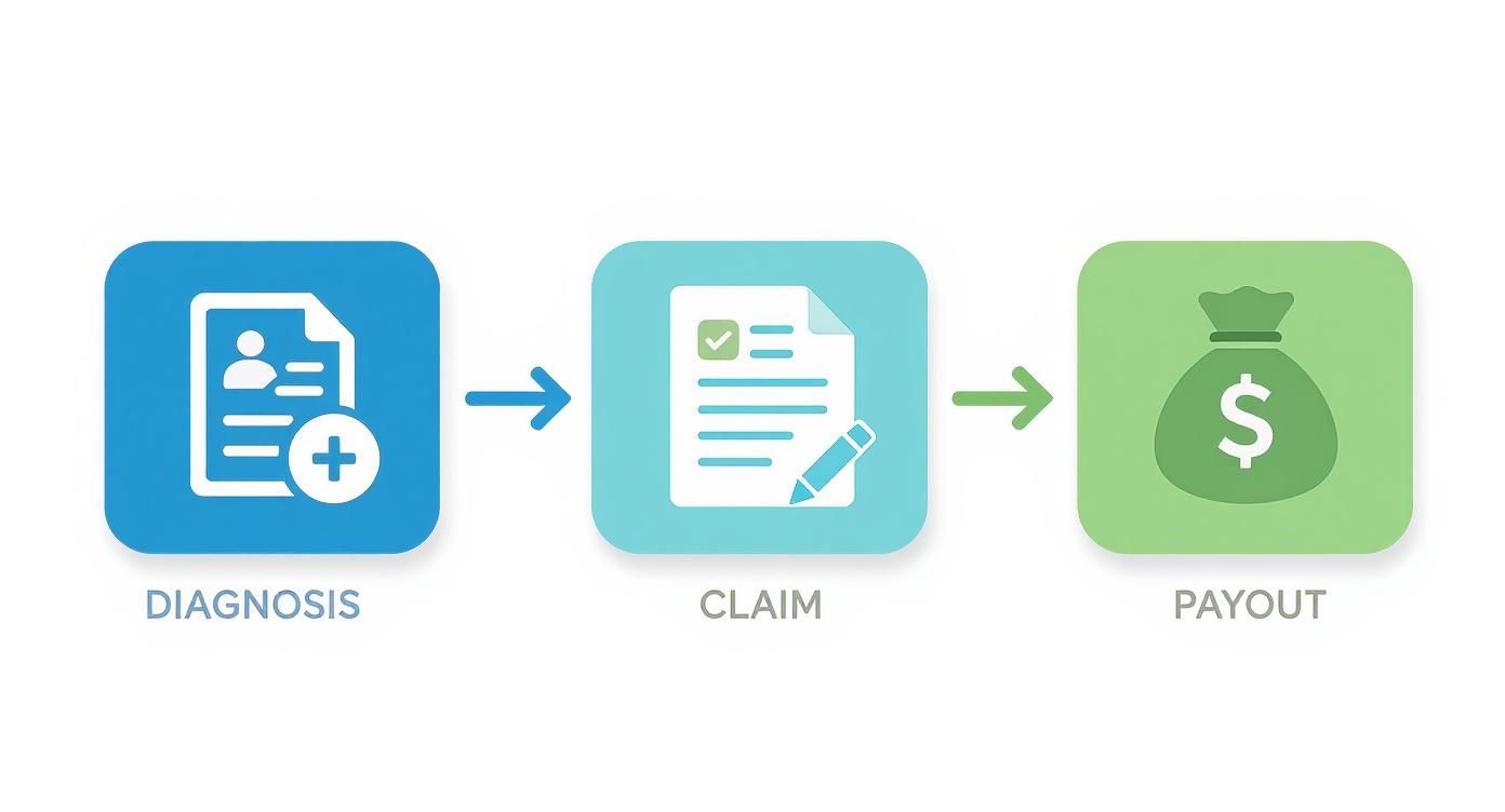 A three-step process diagram showing diagnosis, claim submission, and money payout icons.