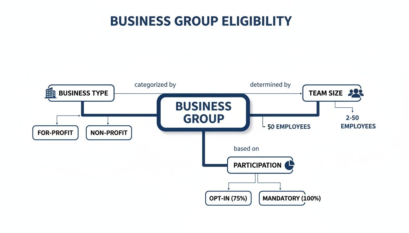 Flowchart detailing business group eligibility criteria based on business type, team size, and participation.
