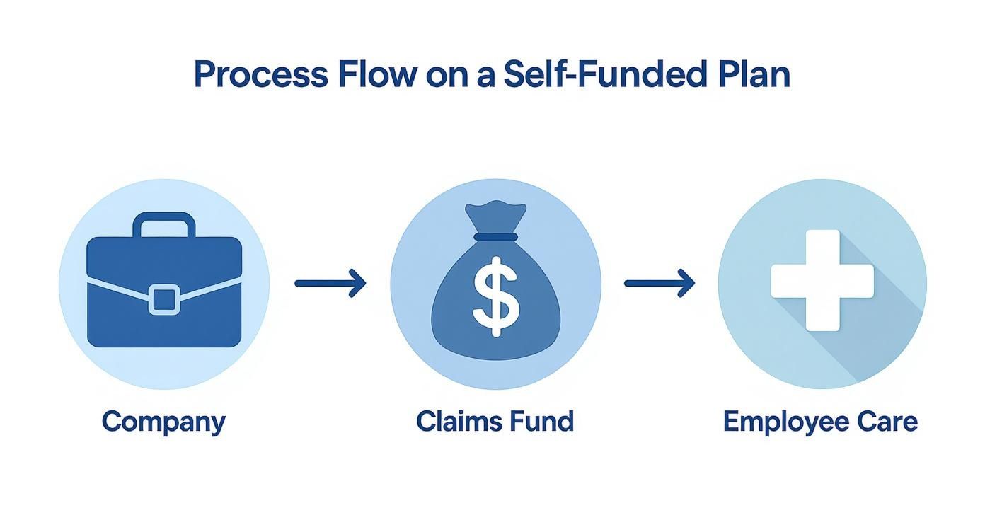 Self-funded insurance plan process flow diagram showing company funds flowing to claims fund then to employee healthcare