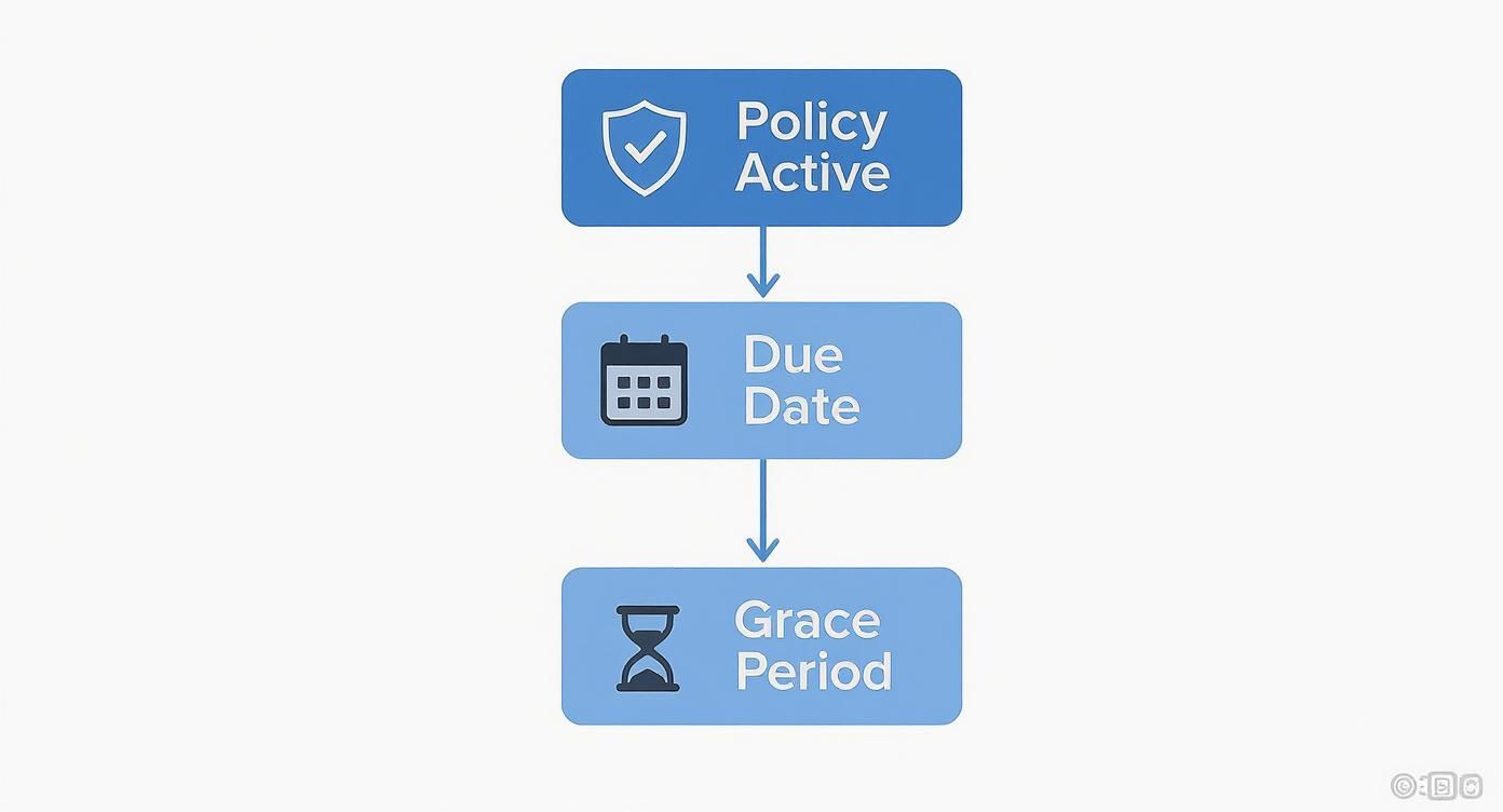 Infographic about what is a grace period in insurance