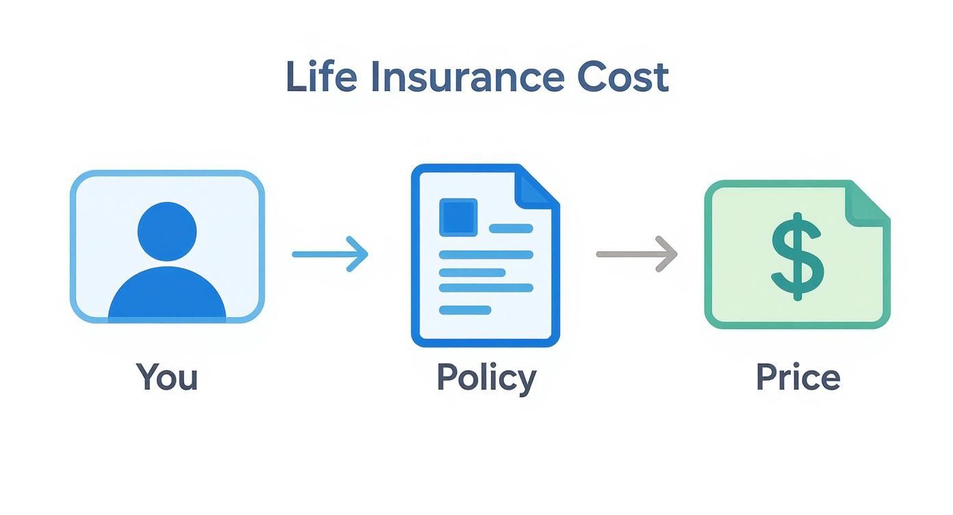 Infographic about how much does life insurance cost