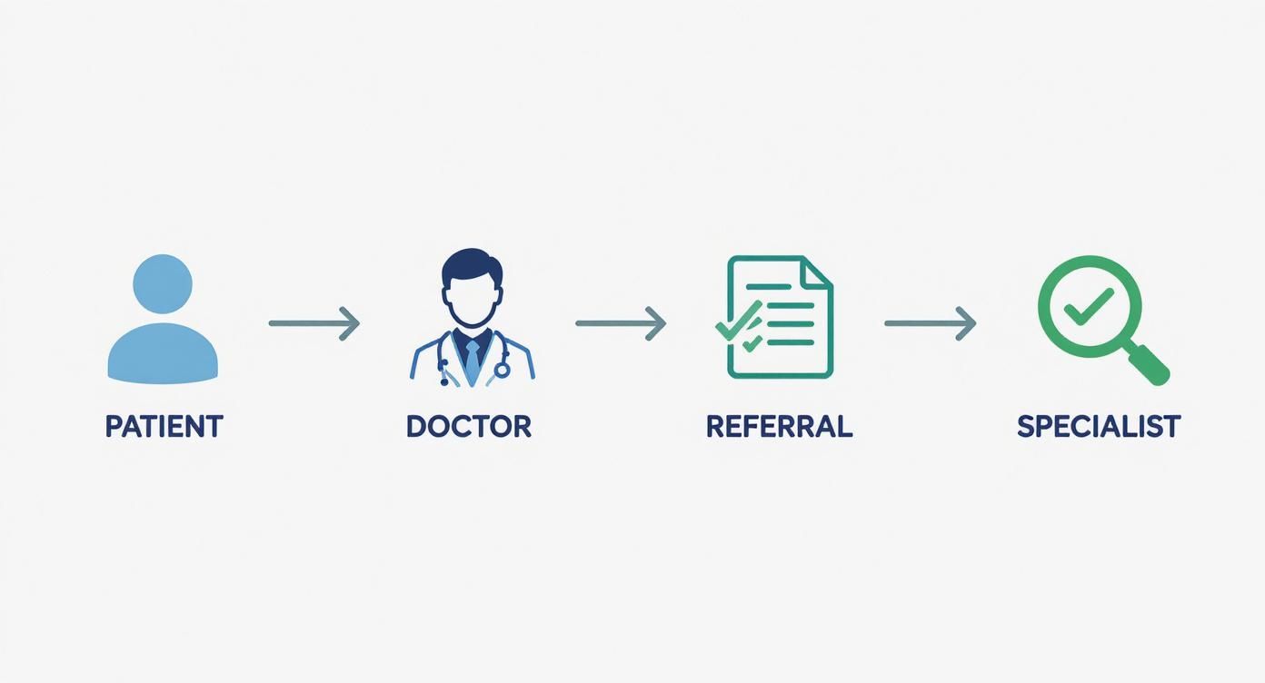 Healthcare referral process diagram: patient sees a doctor, gets a referral, and visits a specialist.