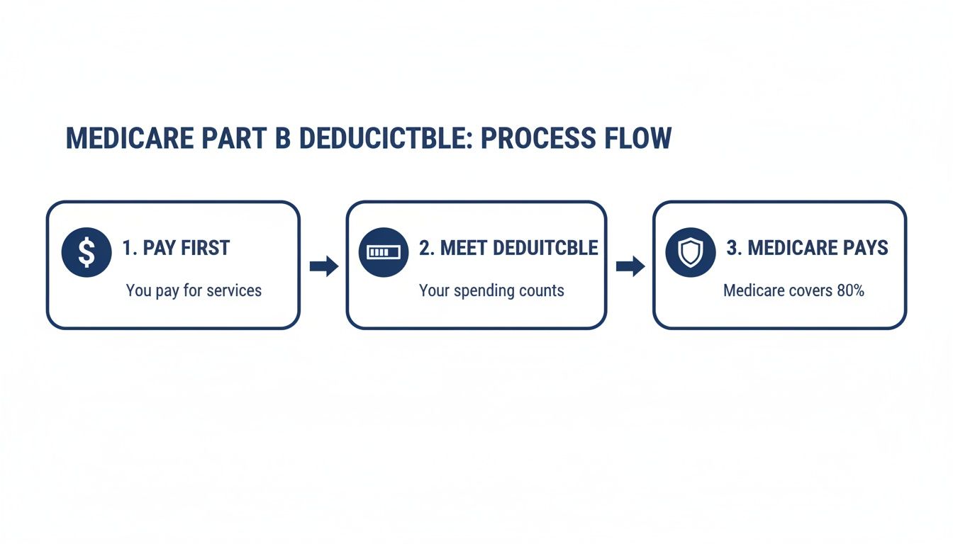 A process flow diagram explains Medicare Part B deductible: pay first, meet deductible, then Medicare pays.