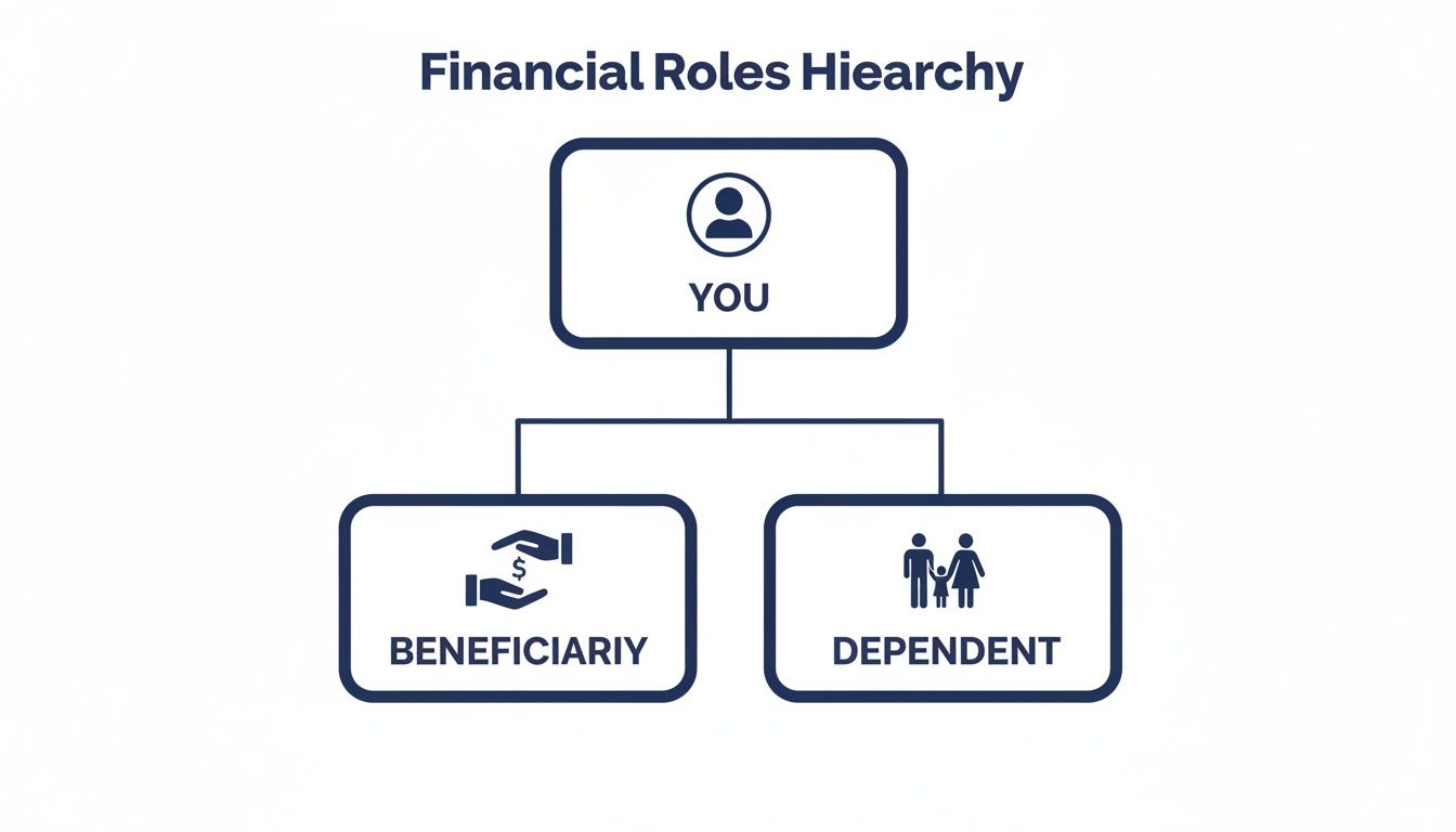 A financial roles hierarchy chart showing 'You' at the top, leading to 'Beneficiary' and 'Dependent' roles.
