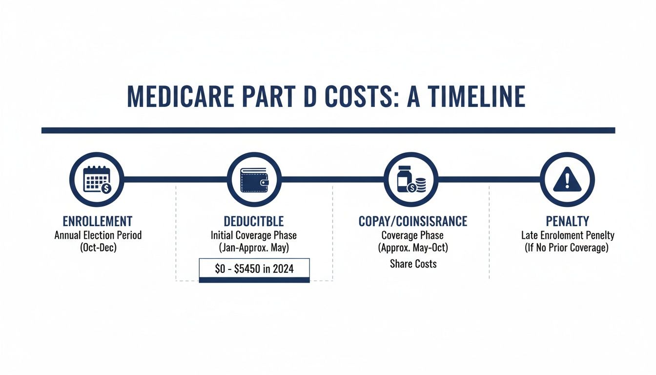 A timeline graphic outlining Medicare Part D costs, including enrollment, deductible, copay, and penalty phases.