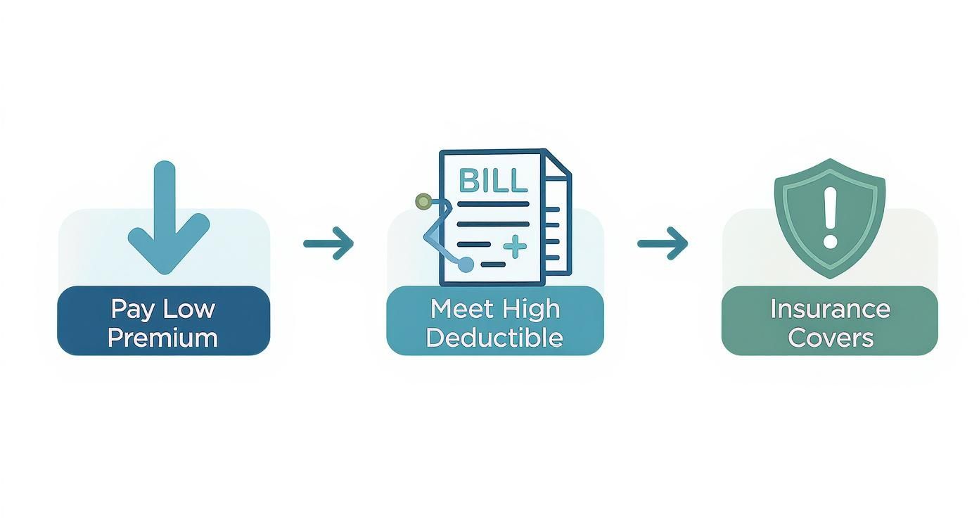 Infographic about what is a high deductible health plan