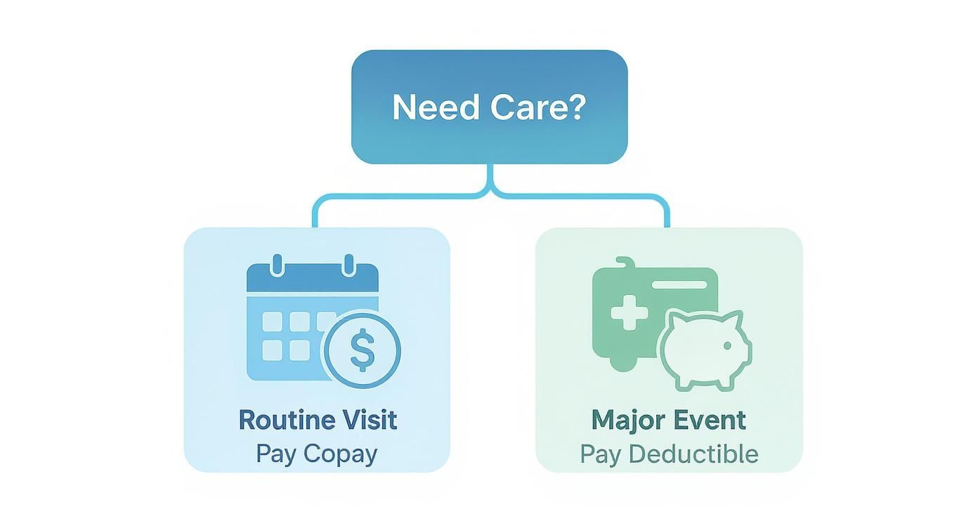 Infographic about difference between copay and deductible
