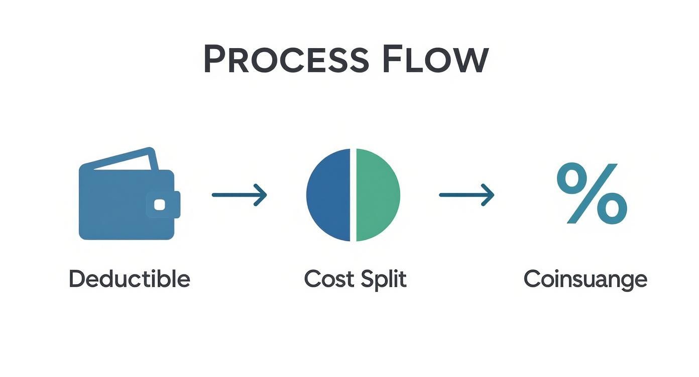 Infographic about what does coinsurance mean in health insurance