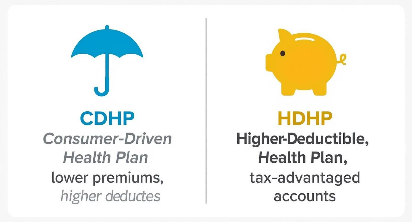 Comparison infographic showing CDHP with umbrella icon versus HDHP with piggy bank icon and key features