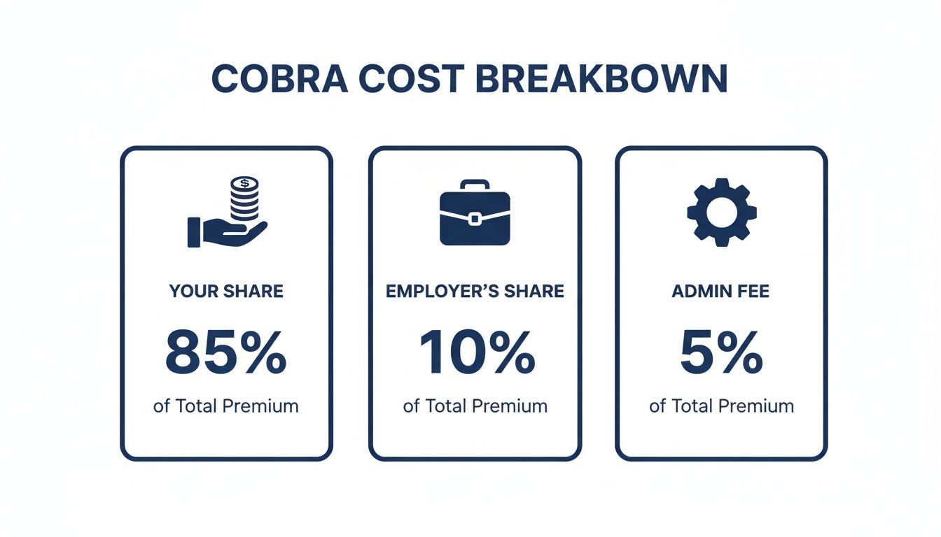 Infographic detailing COBRA insurance cost breakdown: 85% your share, 10% employer's share, and 5% admin fee.