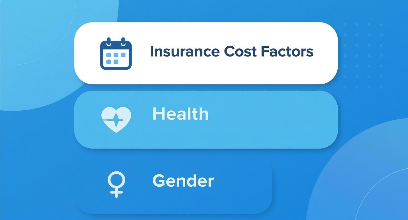 Insurance cost factors infographic showing health and gender categories with calendar and heart icons
