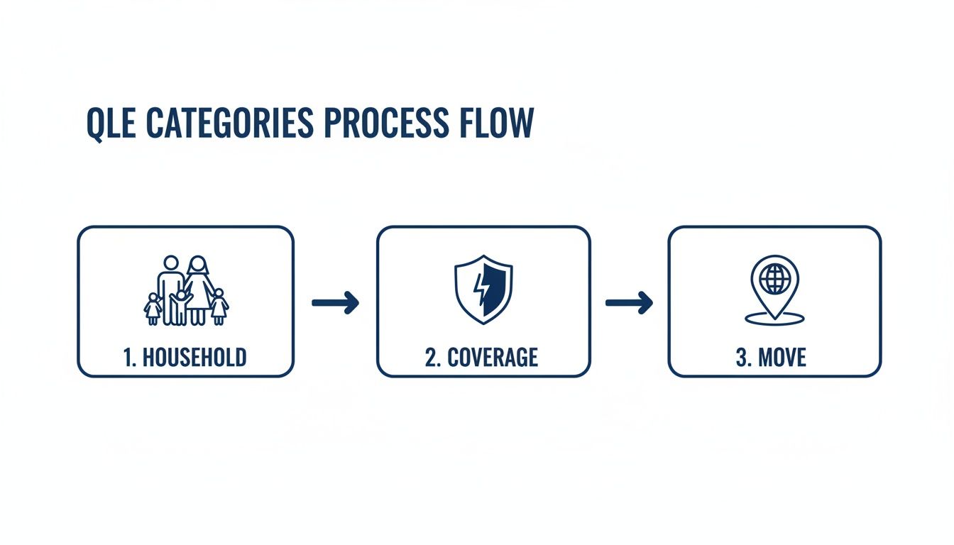 Process flow diagram showing QLE categories: 1. Household, 2. Coverage, and 3. Move.