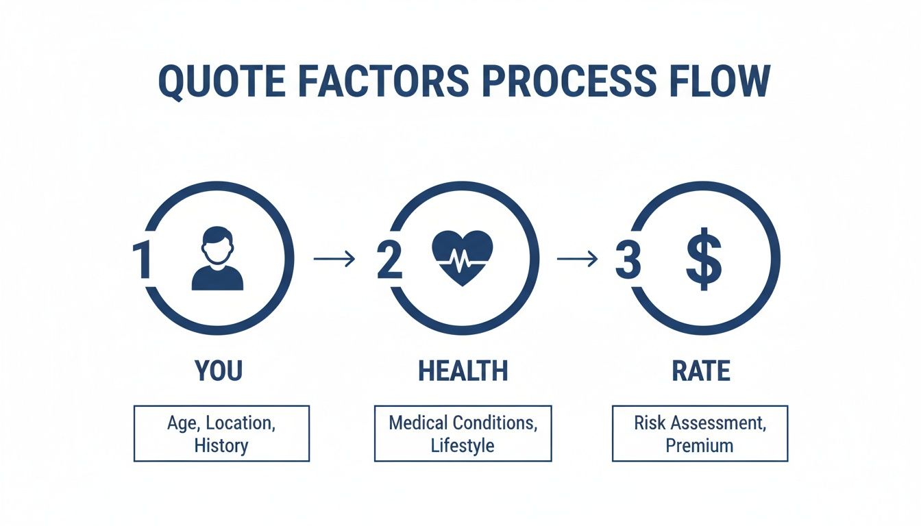 Flowchart detailing the process for an insurance quote, considering personal data, health factors, and calculating the premium.