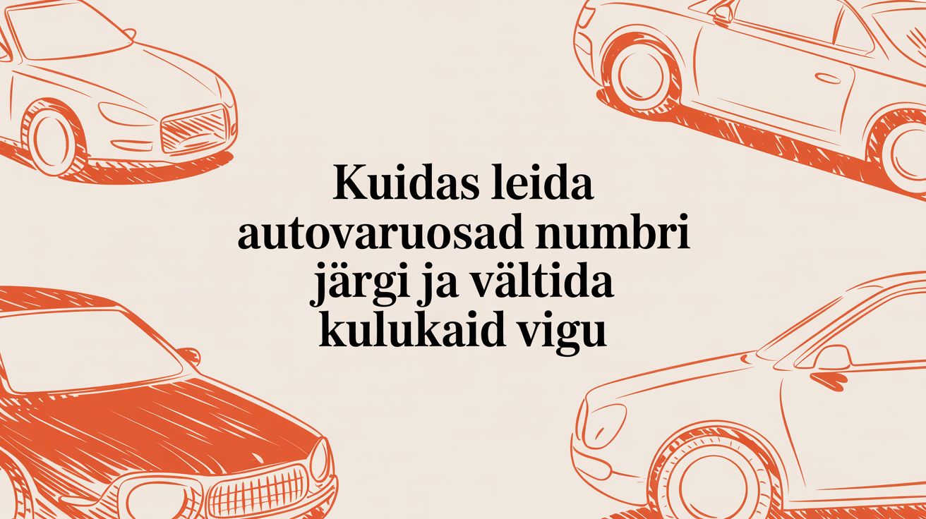 Kuidas leida autovaruosad numbri järgi ja vältida kulukaid vigu