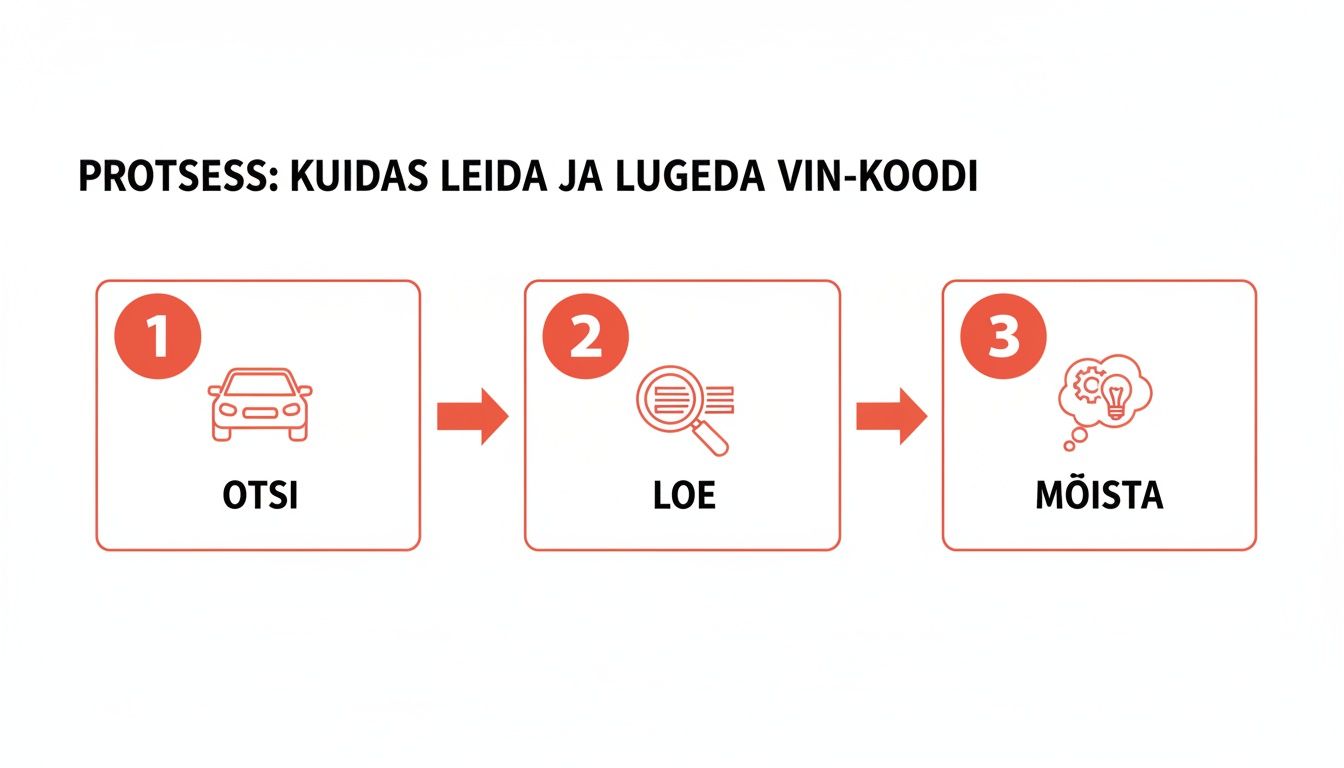 Step-by-step process for finding and reading the VIN code: search for the car, read the code, and understand its meaning.
