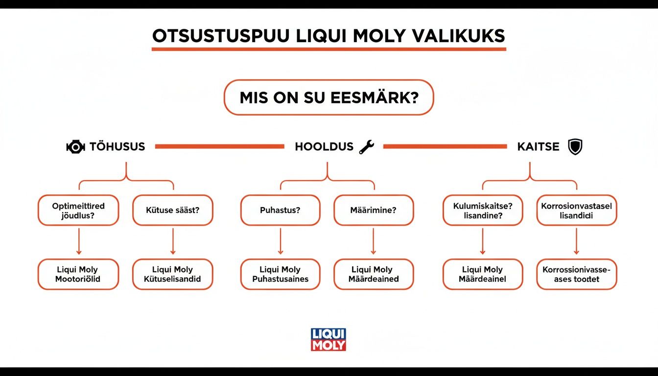 The Liqui Moly decision tree helps choose the right products according to the goal: efficiency, maintenance, or protection.