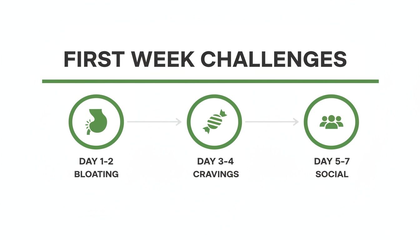 Infographic showing first week challenges of a diet plan: Day 1-2 bloating, Day 3-4 cravings, Day 5-7 social.