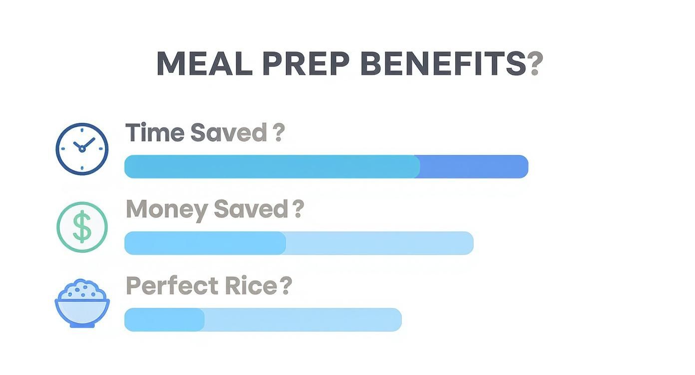 Infographic displaying meal prep benefits: time saved, money saved, and perfect rice, with progress bars.