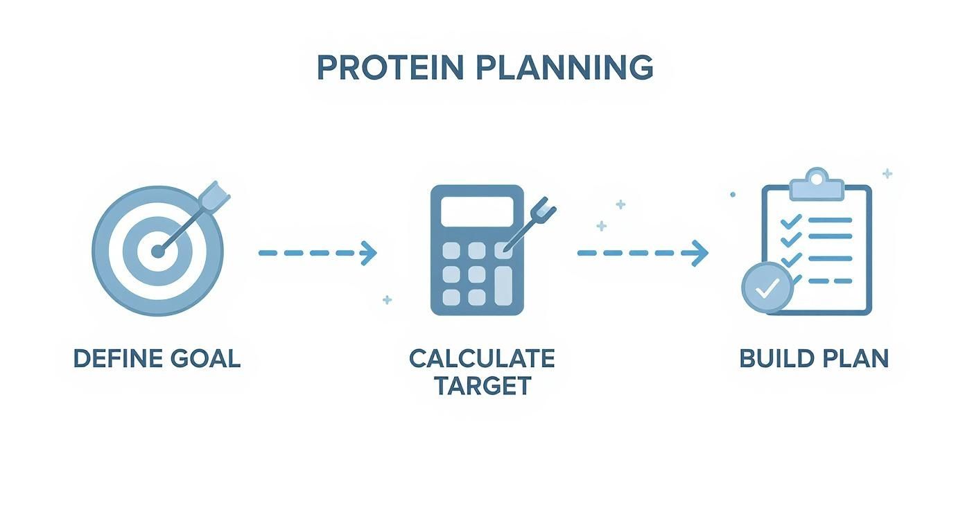 A three-step diagram for protein planning: define goal, calculate target, and build plan.
