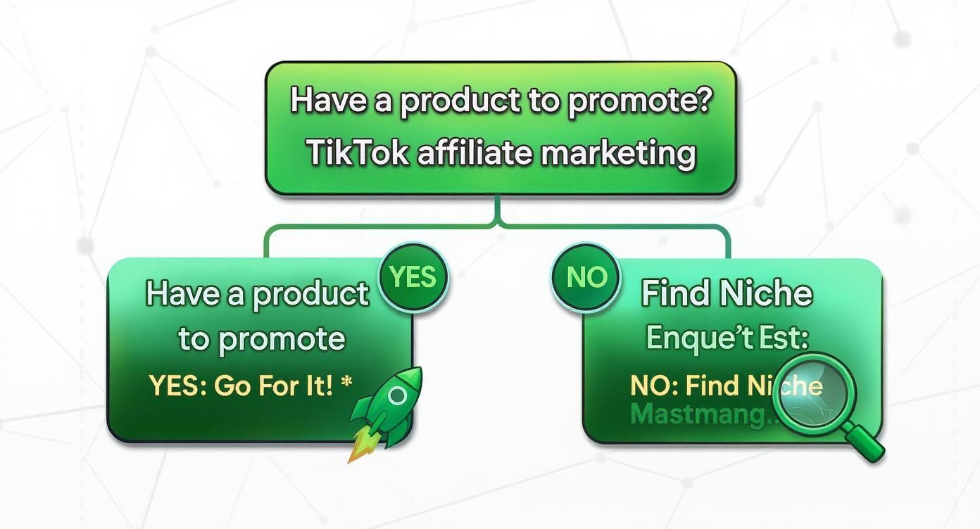 Infographic about affiliate marketing for tiktok