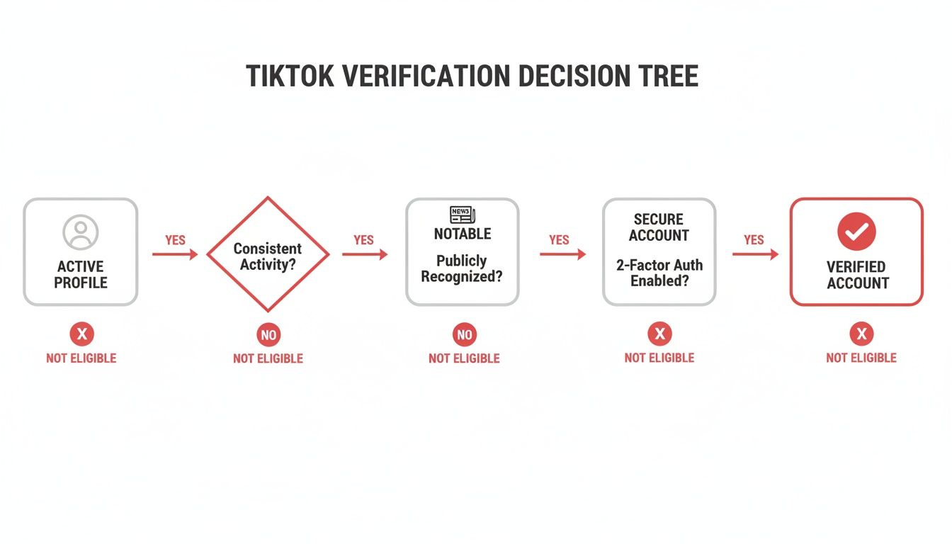 TikTok verification decision tree flowchart showing steps to get a verified account.