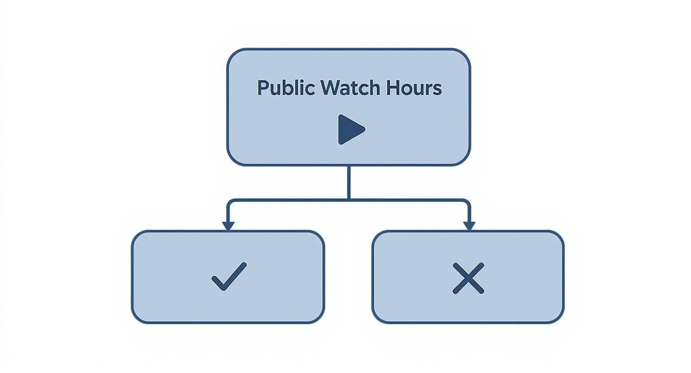 Infographic about what are watch hours on youtube
