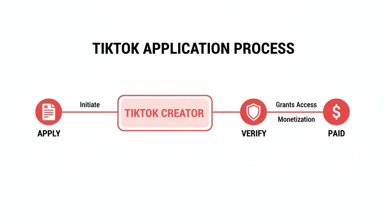 Flowchart detailing the TikTok Creator Fund application, verification, and monetization process.