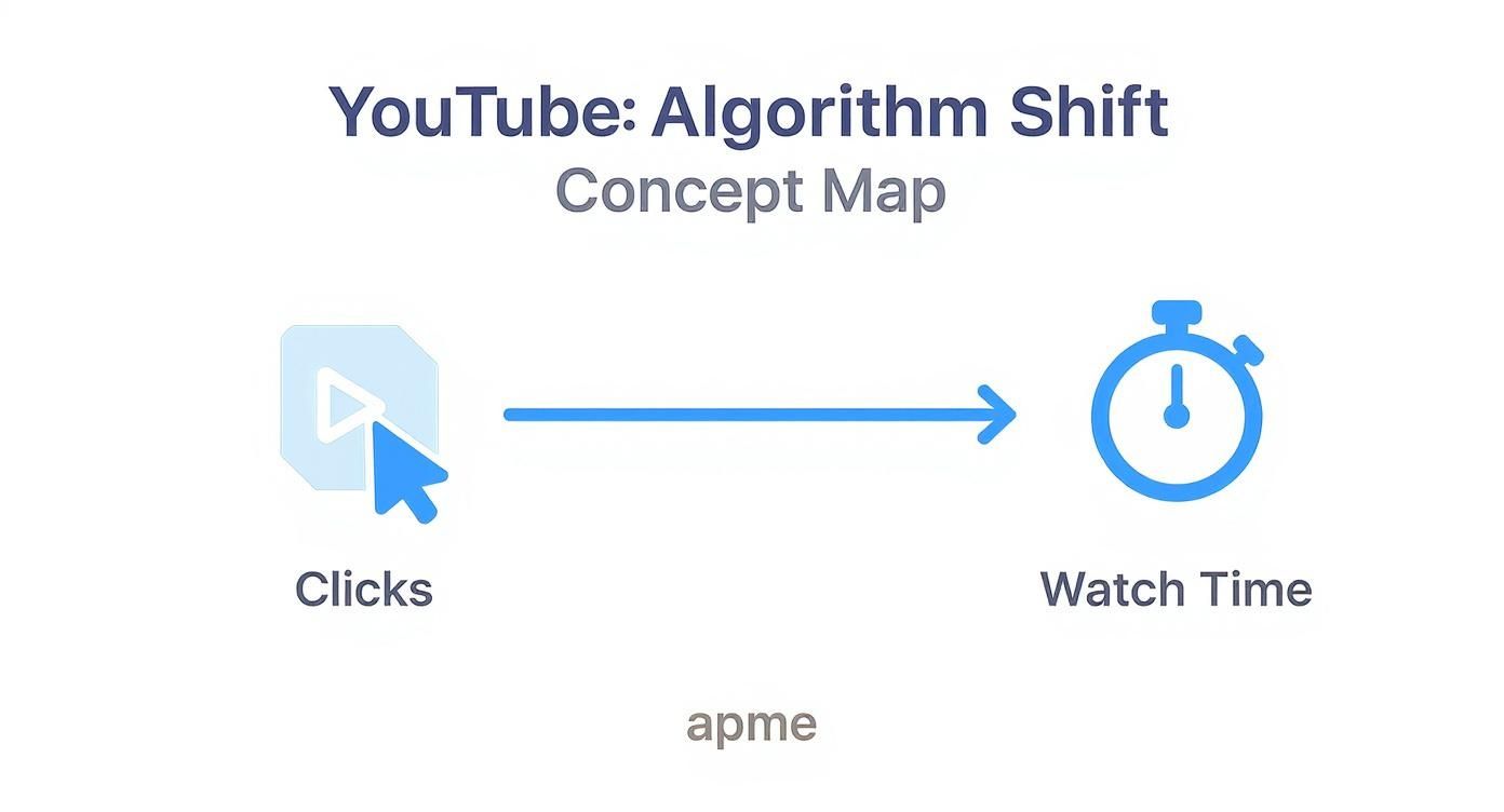 Infographic about how does the youtube algorithm works